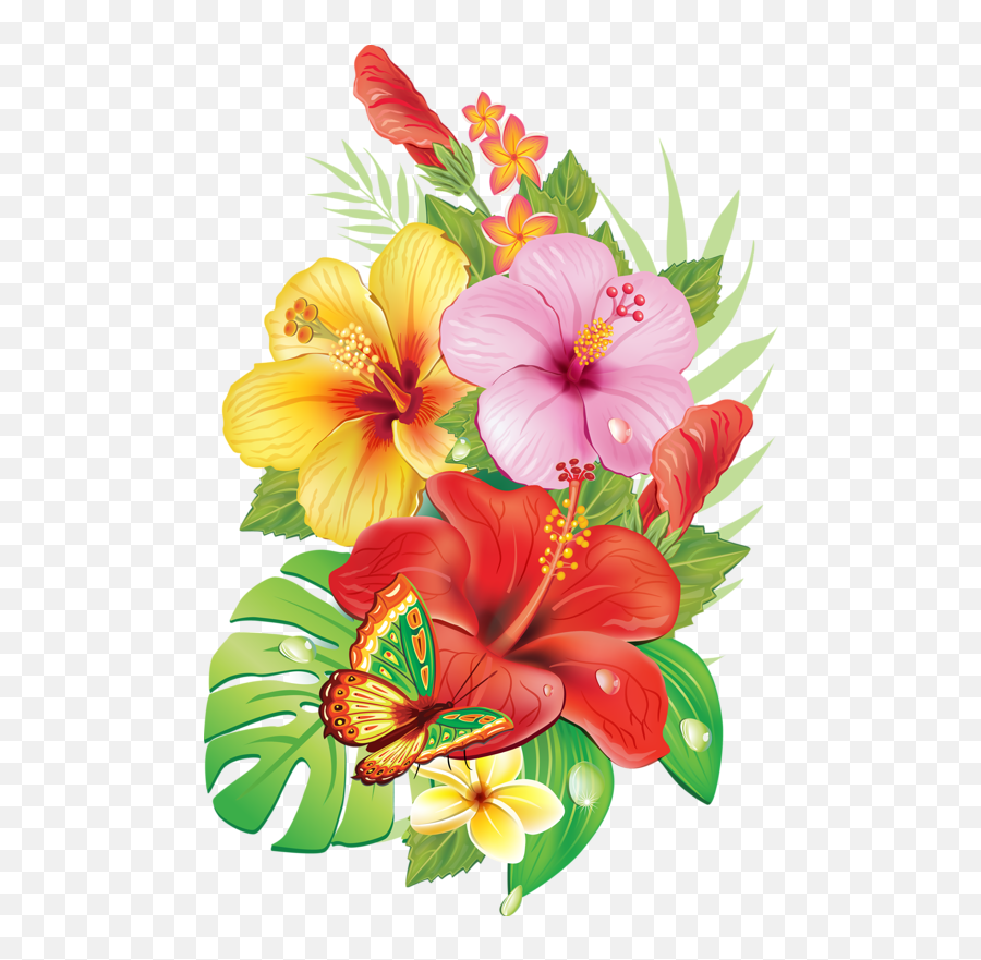 Hibiscus Clipart Tropical Vine - Hibiscus Flower Drawing Png,Hibiscus Png