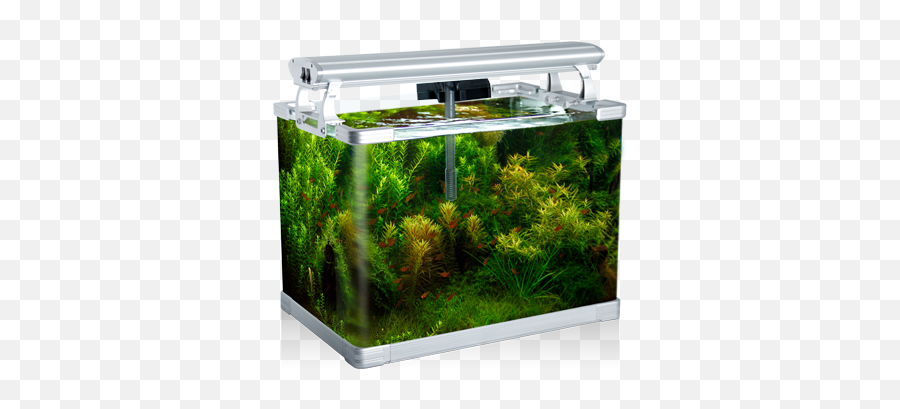 Aquarium Png Photo - Small Fish Tank Singapore,Fish Tank Png