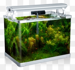 Aquarium Png Photo - Small Fish Tank Singapore,Fish Tank Png
