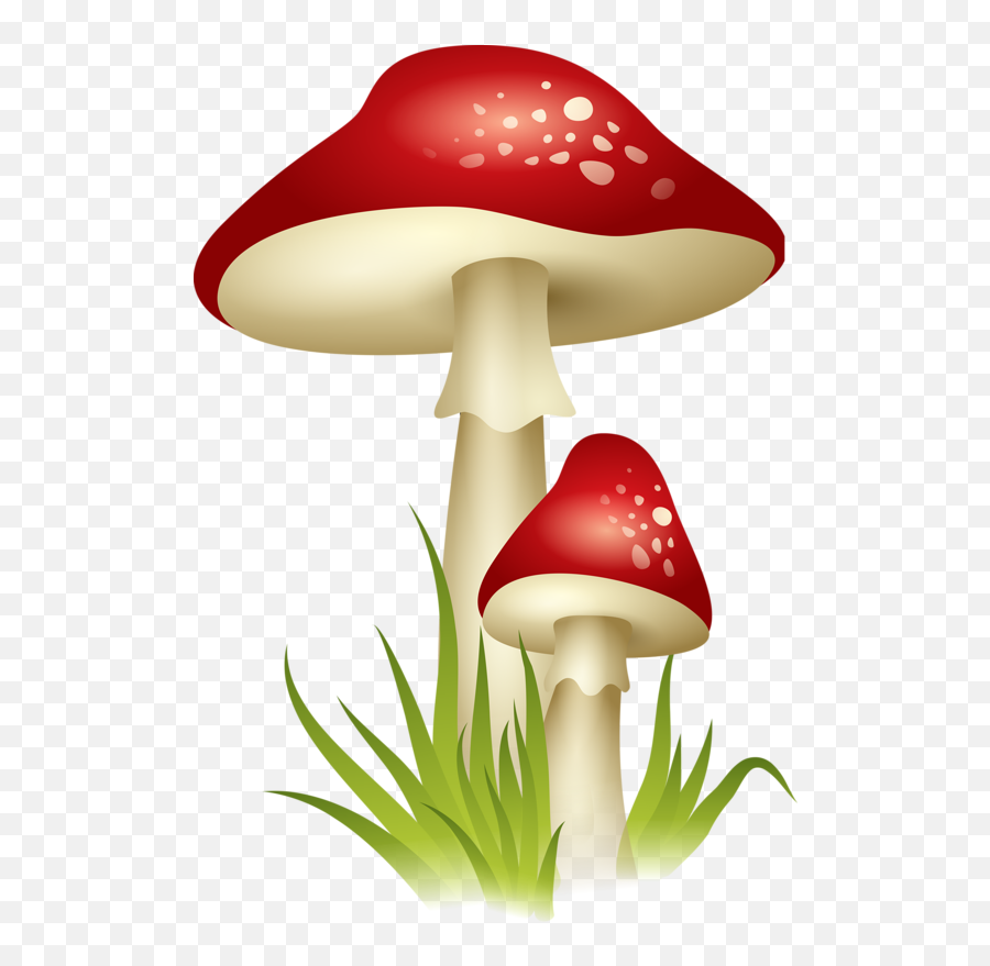 Woodland Clipart Toadstool - Mushroom Clipart Transparent Background Png,Toadstool Png