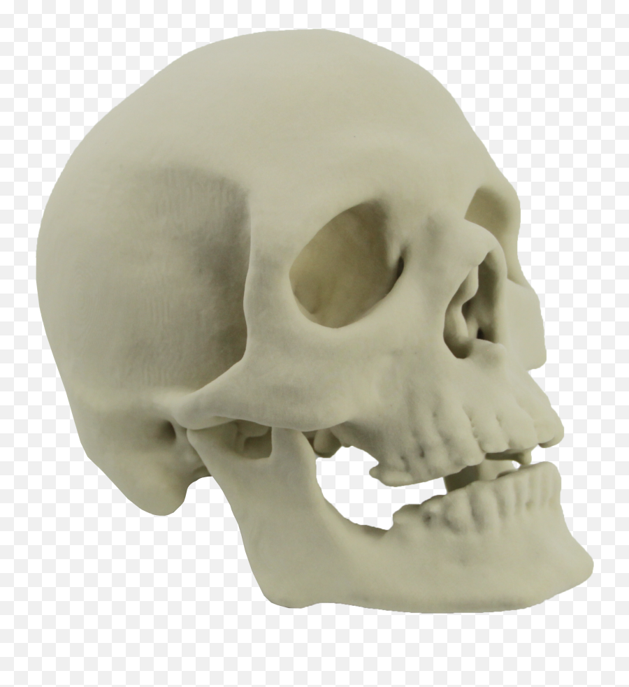 Skull Png Image - Purepng Free Transparent Cc0 Png Image Transparent 3d Skull Png,Skeleton Png Transparent
