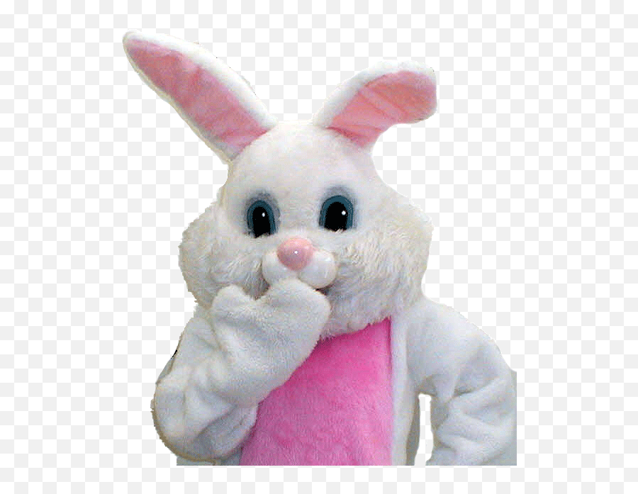 Spring Guide - Human Easter Bunny Transparent Cartoon Easter Bunny Costume Rental Png,Easter Bunny Transparent Background