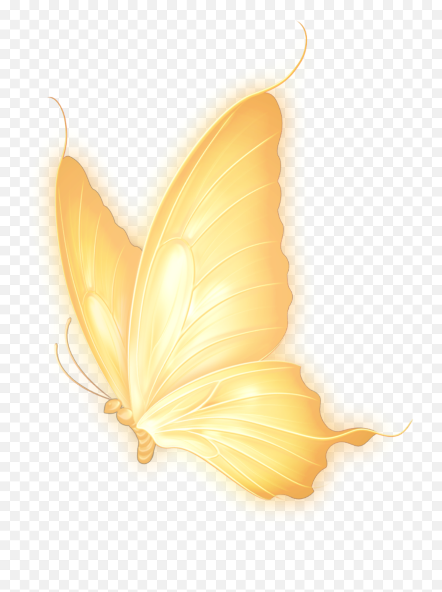 Trending - Yellow Butterfly Aesthetic Neon Png,Gold Butterfly Png