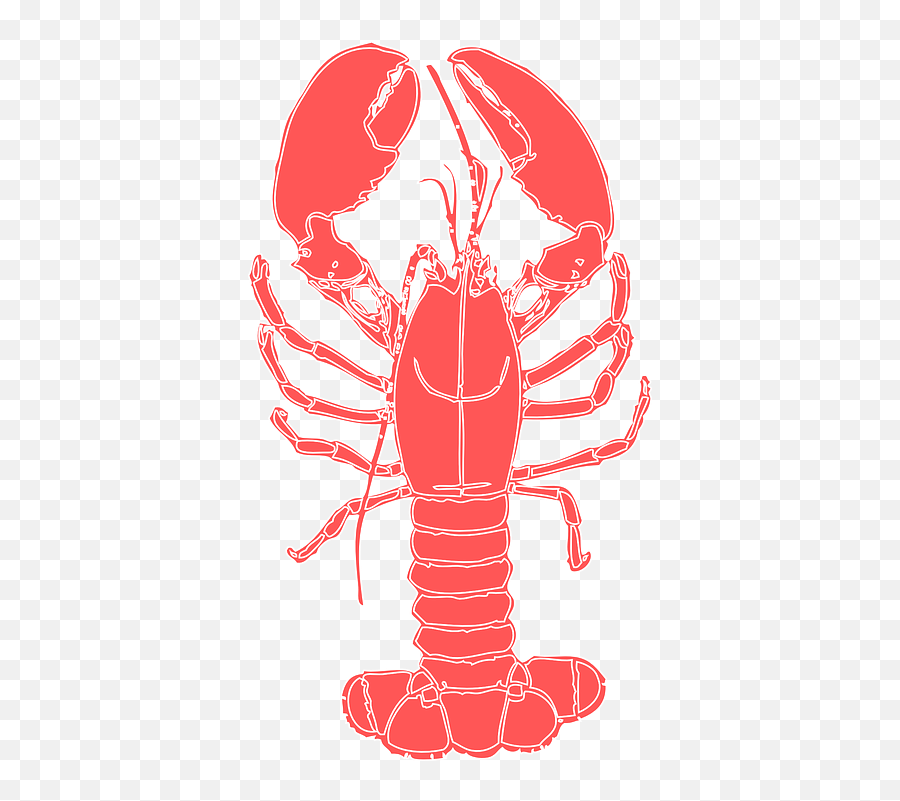 Lobster Crustacean Crab - Transparent Crawfish Clipart Free Png,Crawfish Png