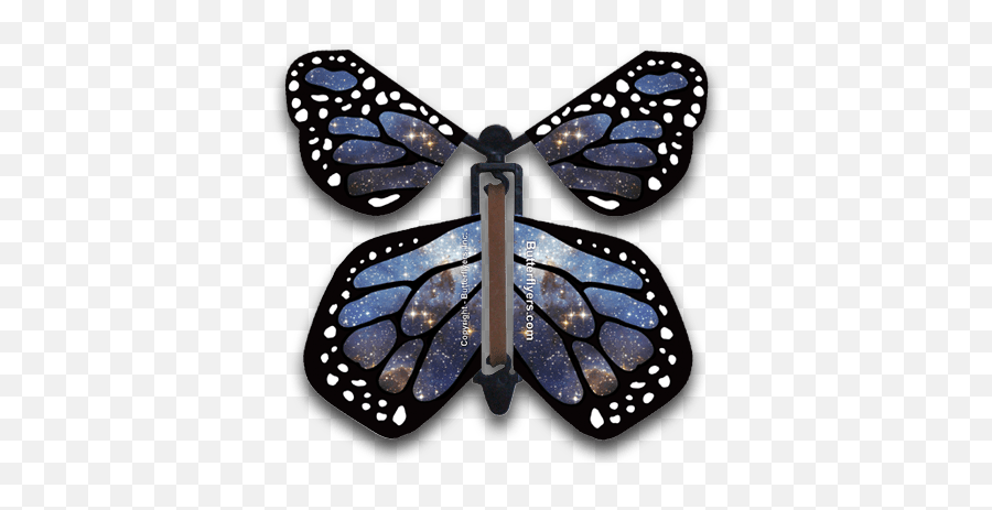 Stardust Flying Butterfly - Stars In Space Png,Flying Butterfly Png
