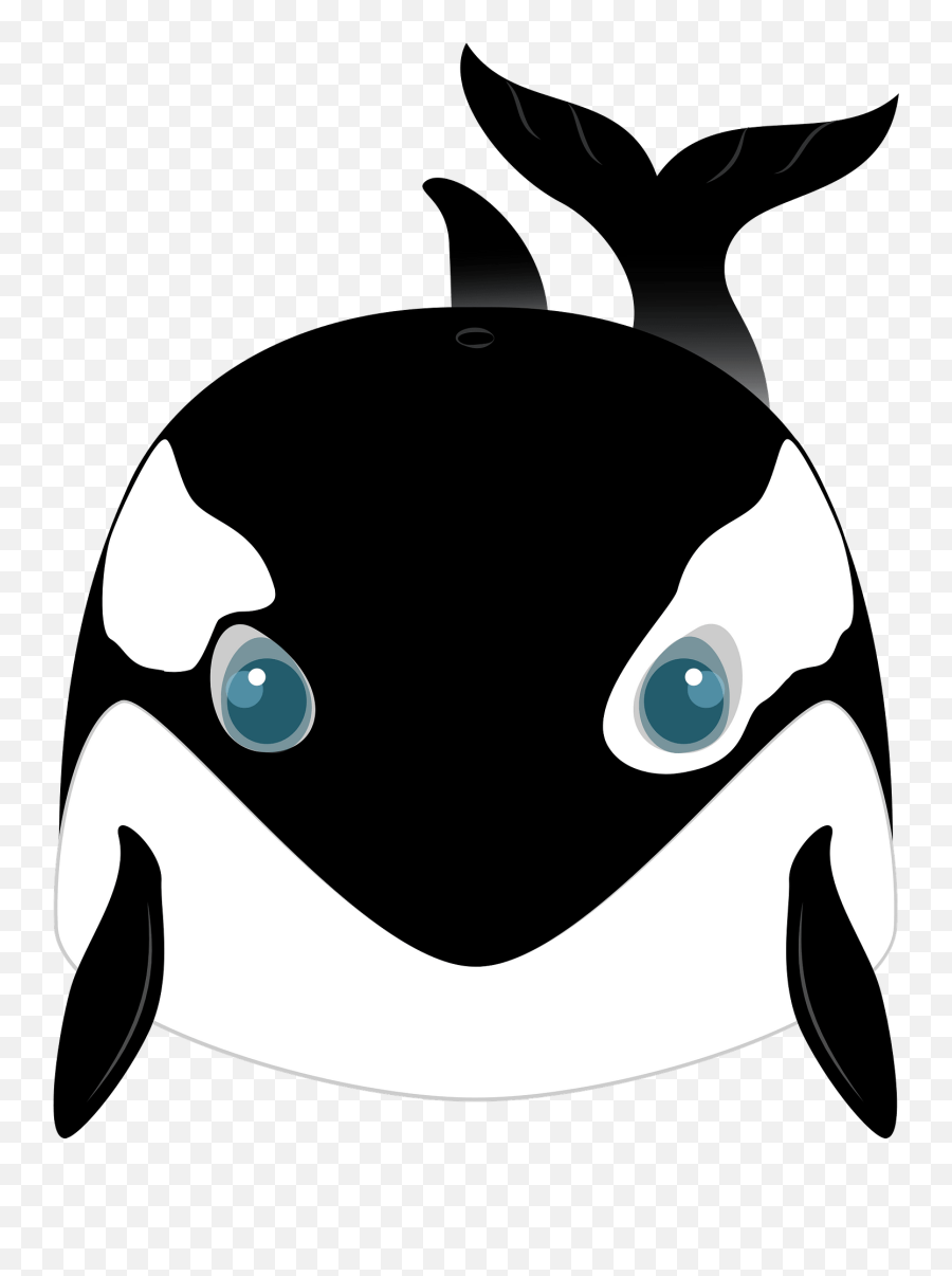 Killer Whale Clipart Free Download Transparent Png Creazilla - Killer Whale Clipart Face,Killer Whale Png