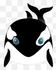 Killer Whale Clipart Free Download Transparent Png Creazilla - Whale Clipart Face
