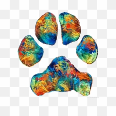 Colorful Dog Paw Print - By Sharon Cummings png