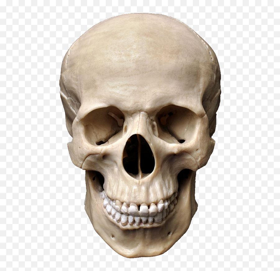 Download Skull Png Image For Free - Skull Hd Png,Wolf Skull Png