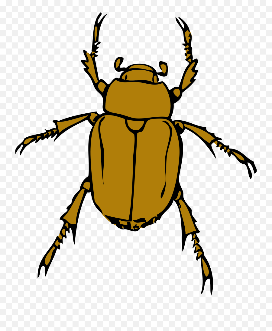 Download Beetle Bug Clip Art Hq Png Image Freepngimg - Bug Clip Art,Bugs Png