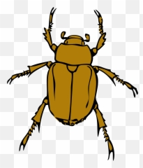 Download Beetle Bug Clip Art Hq Png Image Freepngimg - Bug Clip Art,Bugs Png