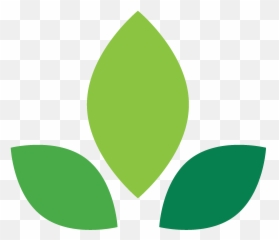 Cropped - Buenaparkneighborssiteiconpng U2013 Buena Park Language,Ssl Icon Png