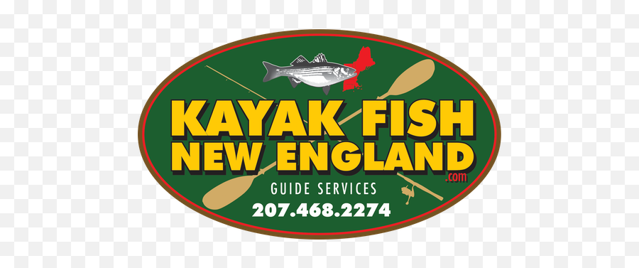 Kayak Guided Fishing Trip Fish New England - Catfish Png,Pelican Icon 120x Kayak