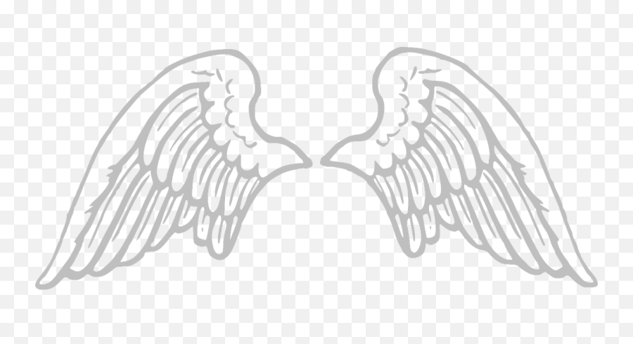 Angel Wing Outline Png Picture - Cartoon Angel Wings Png,Angle Wings Png -  free transparent png images 