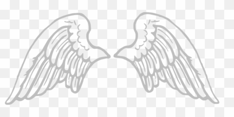 Angel Wing Outline Png Picture - Cartoon Wings