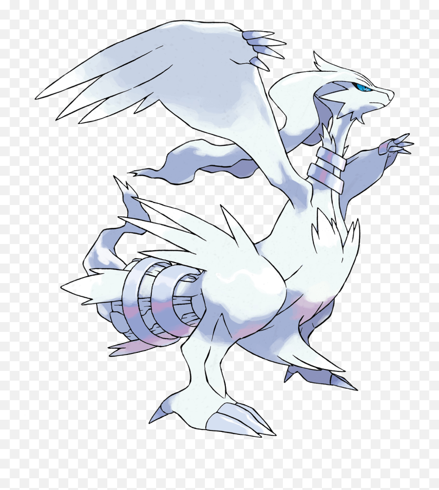 Legendary Pokémon Pokemon Black U0026 White Info - Pokemon Reshiram Png,Legendary Pokemon Png