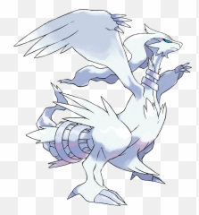Legendary Pokémon Pokemon Black U0026 White Info - Pokemon Reshiram Png,Legendary Pokemon Png