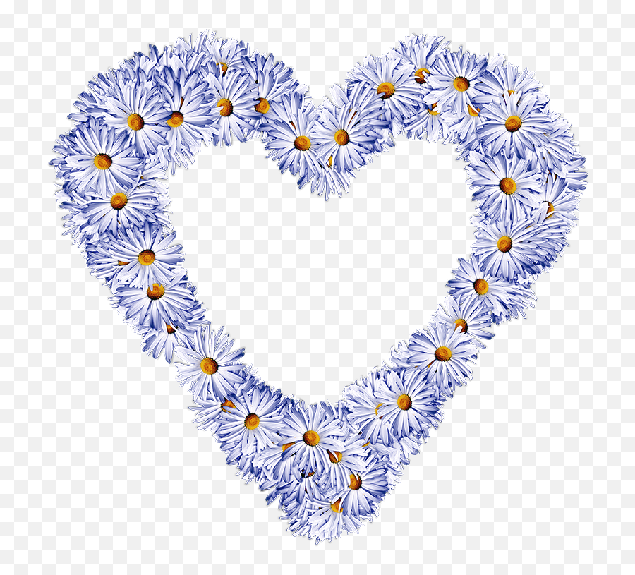 Heart Wreath Png Transparent Without Background Image Free - Heart Flower Daisies,Flower Wreath Png