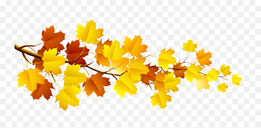 Download Autumn Leaves Clipart - Full Size Png Image Pngkit Fall Leaves Clip Art,Leaves Clipart Png