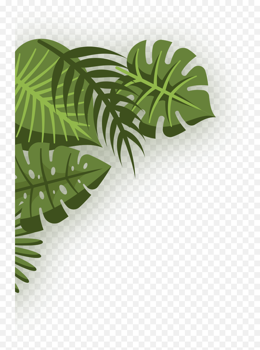 Leovegas Casino Review - An Old Contestant But A Worthy One Illustration Png,Jungle Leaves Png