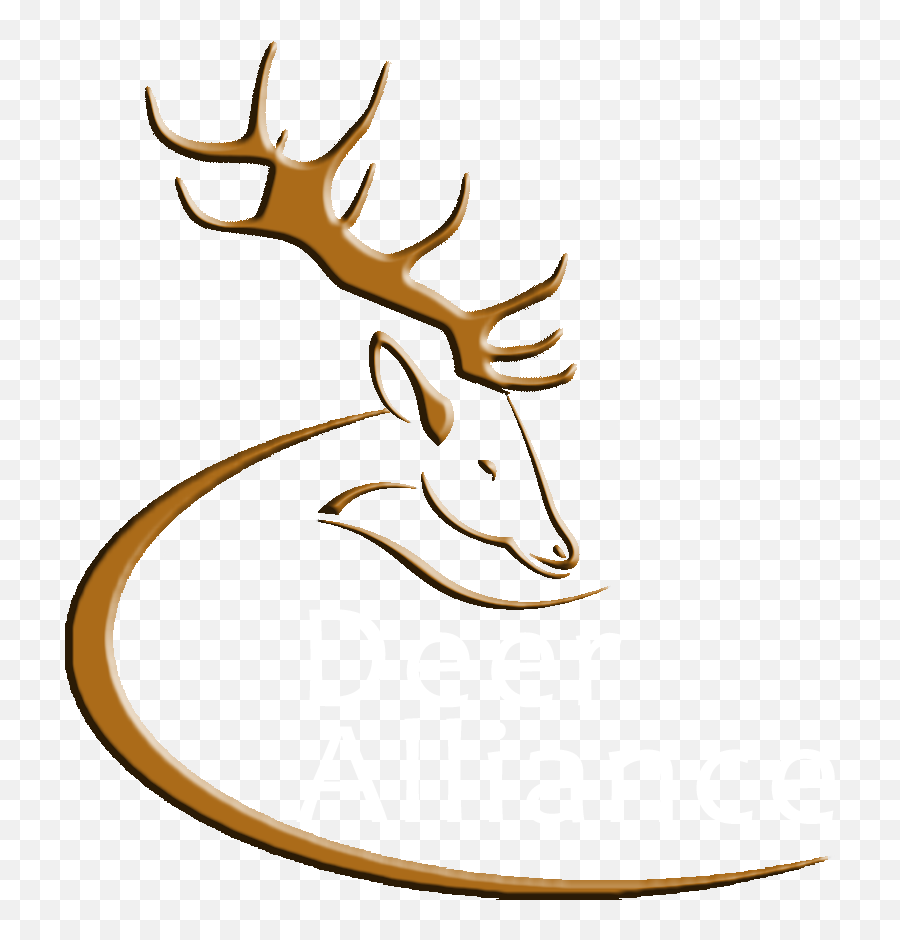 Deer Alliance - Transparent Deer Head Logo Png,Deer Head Logo