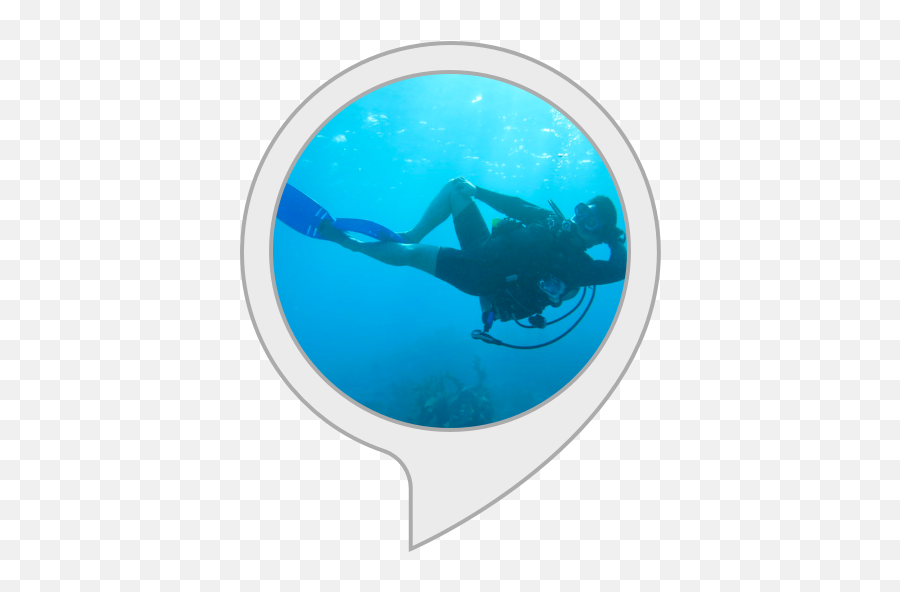 Amazoncom Scuba Diving Facts Alexa Skills - Pittsburgh Steelers Png,Scuba Diver Png