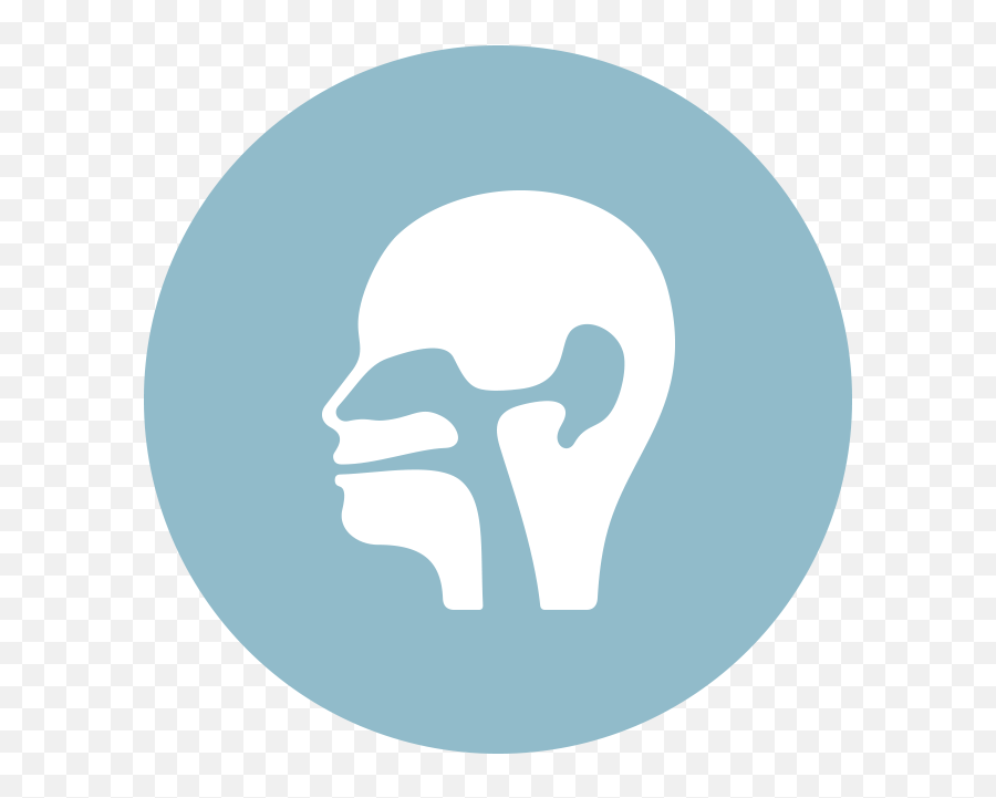 Bone Icon Png - Ear Nose Throat Icon 3636415 Vippng Ear Nose Throat Icon,Ear Icon Png