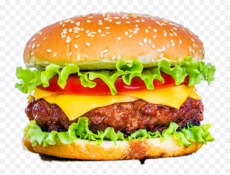 Hamburger Sticker By Nature Photoshop - Hamburger Photoshop Png,Cheeseburger Transparent Background