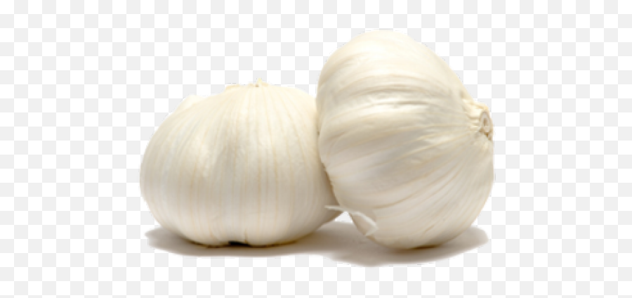 Download Garlic Png Transparent Images - Transparent Background Garlic Transparent,Garlic Transparent Background