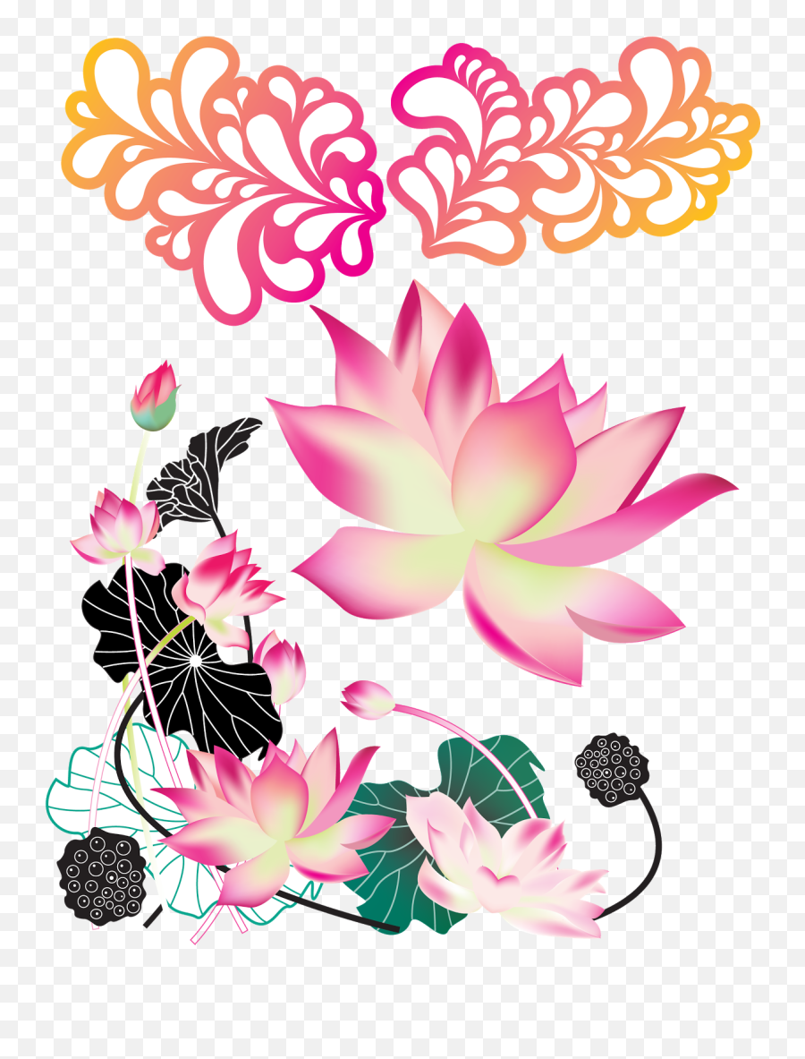 Colorful - Lotus Vector Png,Colorful Flowers Png
