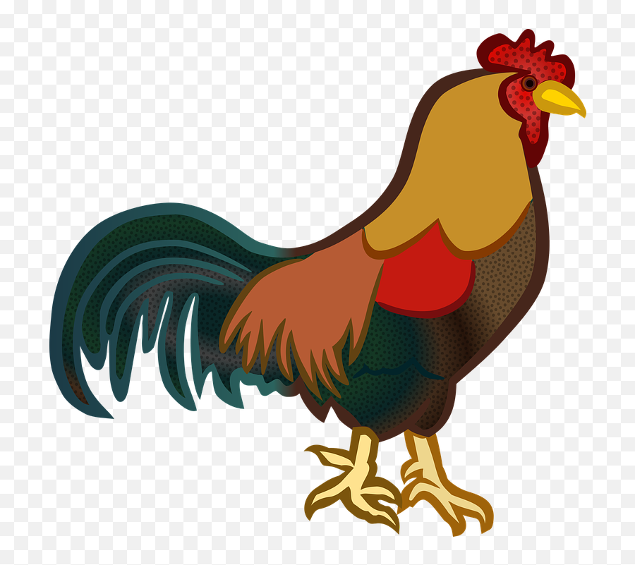 Animals Chickens Cock - Clip Art Cock Png,Chickens Png