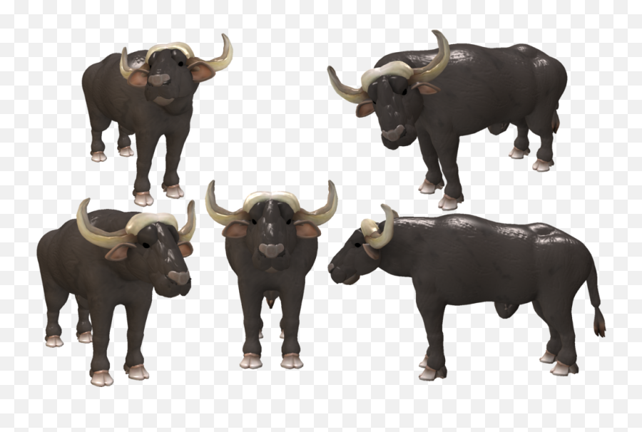 Cape Buffalo Transparent Background - Buffalo Background Png,Buffalo Png