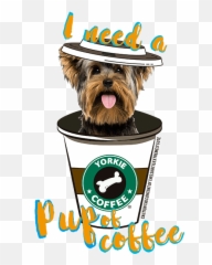 Yorkie T Shirt - Coffee Mug Puppy Cut Kerry Blue Terrier Dog With Woman Selfie Png,Yorkie Png