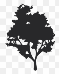 Large Tree Vector - Transparent Png U0026 Svg Vector File Vetor De Arvore Png,Large Tree Png