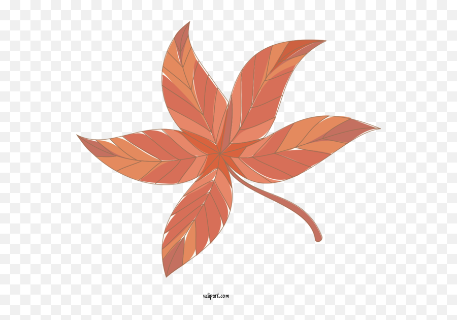 Nature Leaf Design Maple For Png Transparent