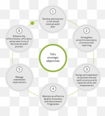 Tree Services Arbor Care Solutions - Solid Png,Stump Png