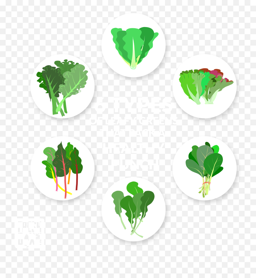 6 Types Of Leafy Greens That Pack A - Types Of Leafy Greens Png,Leafy Icon