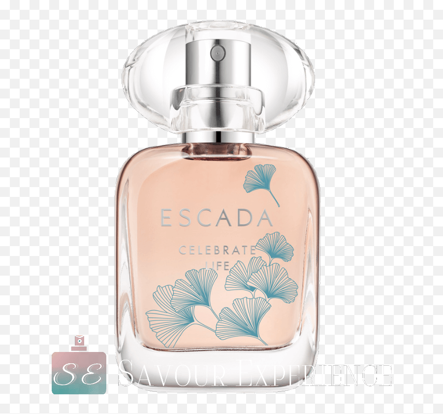 Celebrate Life By Escada - Artisan Gold Zara Perfume Png,Abercrombie And Fitch Fierce Icon