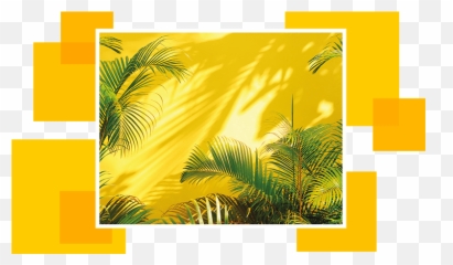 Brickwork Paint Brushes For Masonry Work - Colour For Garden Walls png
