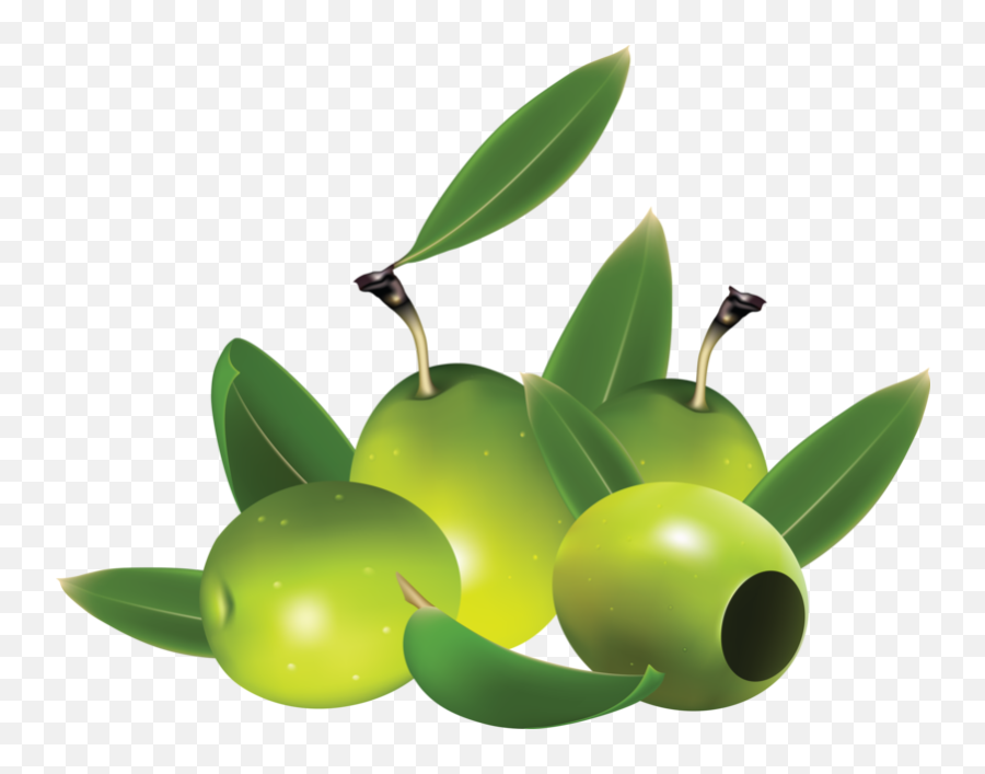 Green Olive Png Picture - Clipart Olives,Olive Png