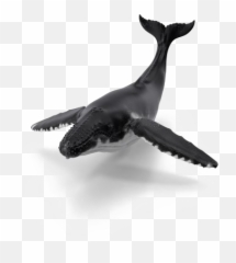 Whale Png Image With Transparent Background Arts