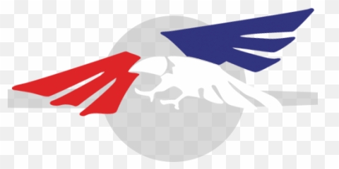 Patriotic Group - Illustration png