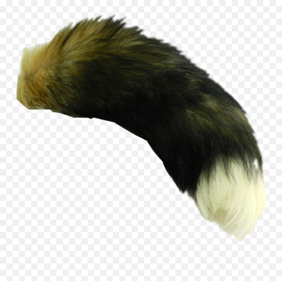 Fox Tails Png Image With No Background Tail Fox Png Fox Tail Png Free Transparent Png Images Pngaaa Com - fox tail roblox