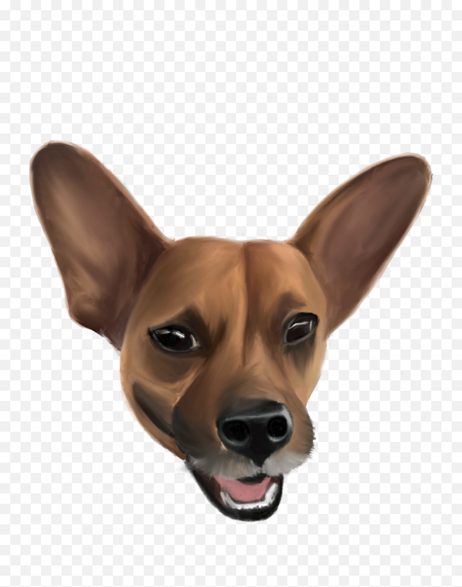 Dog Head Illustration Pet Portraits Pets Scooby Doo - Chihuahua Png,Dog Head Png