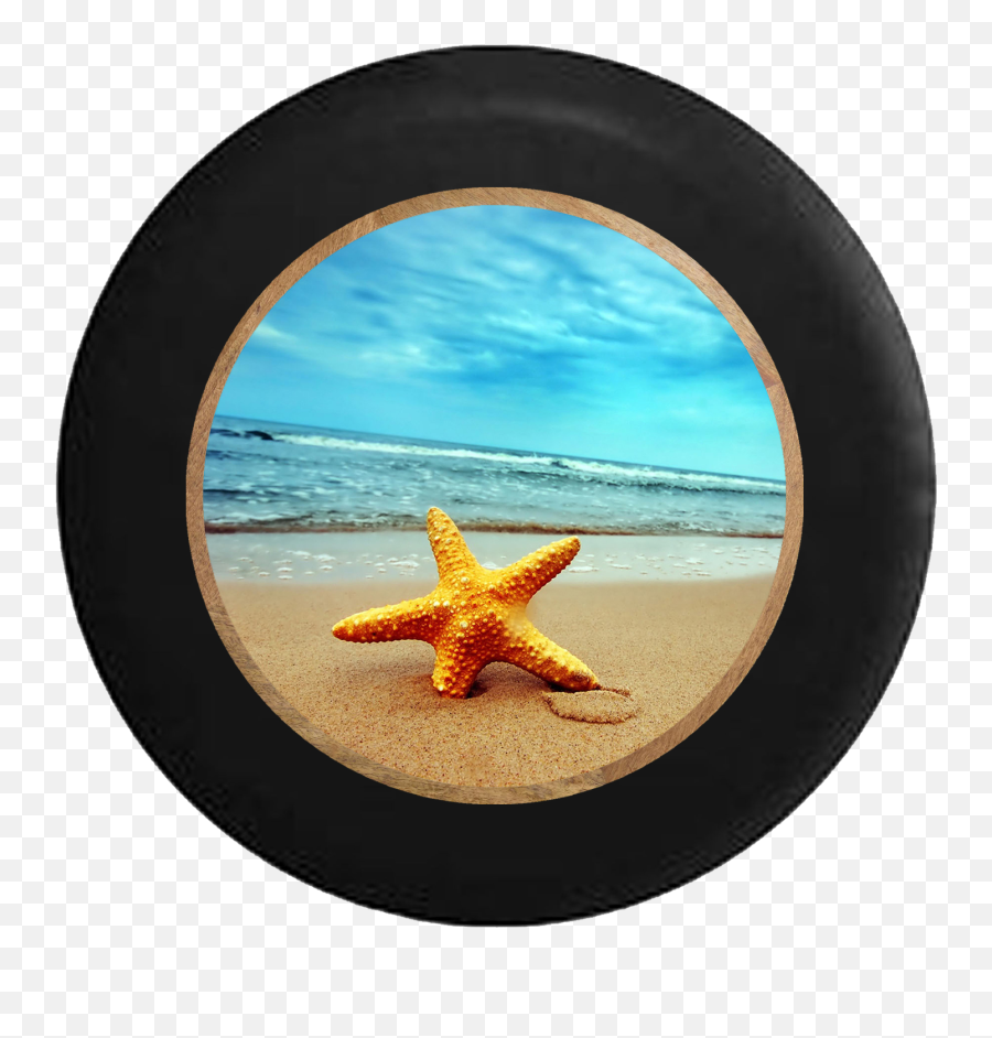 Details About Spare Tire Cover Sea Star Starfish - Sunset Sand Oranges Drinks Glass Straws Starfish Shells Png,Sea Star Png
