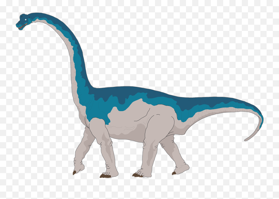 Cliparts - Clipart Long Neck Dinosaur Png,Brachiosaurus Png