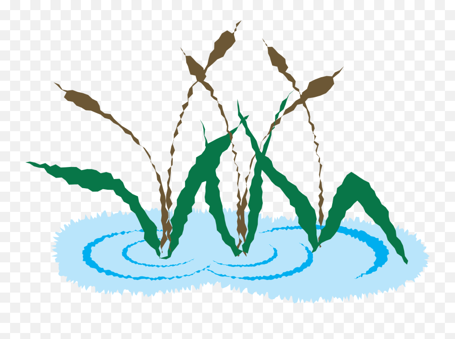 Cattail Plant Illustration Clip Art - New Orleans Free Png,Cat Tail Png