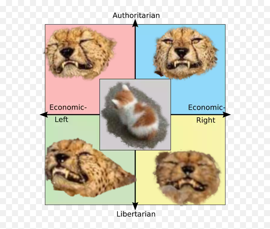 4 Swimming Cheetahs And No Talk Me Angry Cat Explain The - Rage Against The Machine Political Compass Png,Angry Cat Png