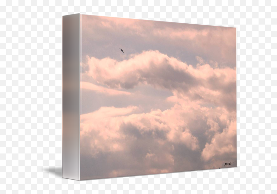 Pink Clouds By Mikki Cucuzzo - Flight Png,Pink Clouds Png