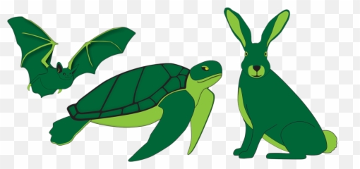 Project To Be Continued In The Future - Animal Figure png
